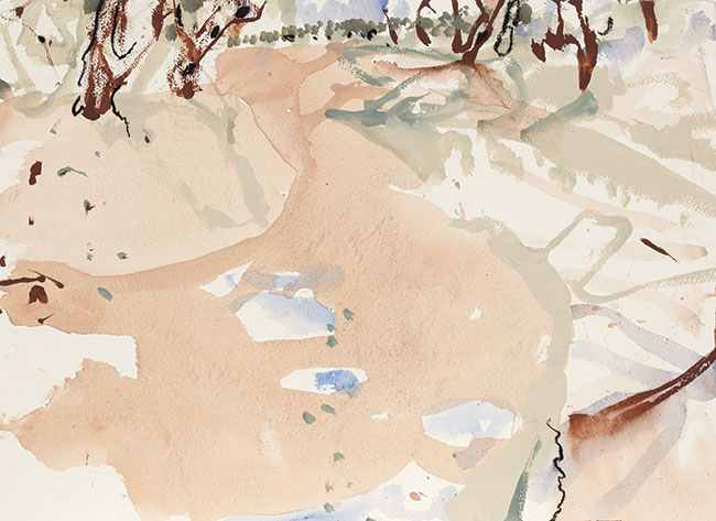 Artwork: Wilcannia Study