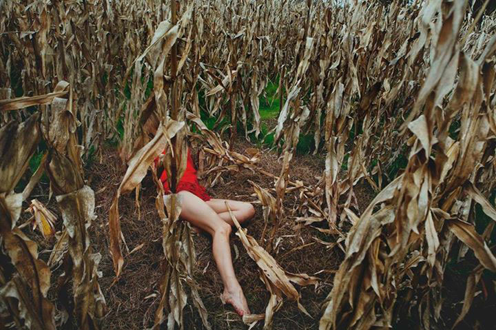 Artwork: Last Season