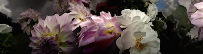 Artwork: Ladies Who Lunch 2