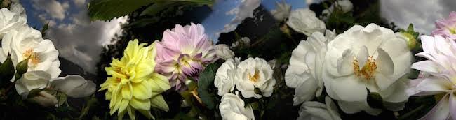 Artwork: Ladies who lunch no4