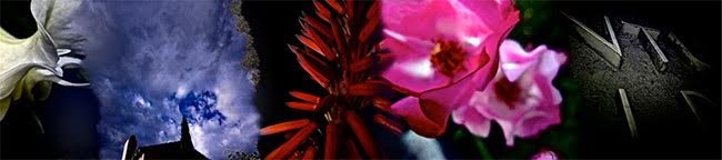 Artwork: I Feel Loved no1