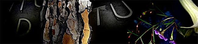 Artwork: I Feel Loved No2