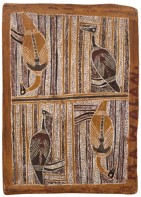 Swamp Birds of the Djan