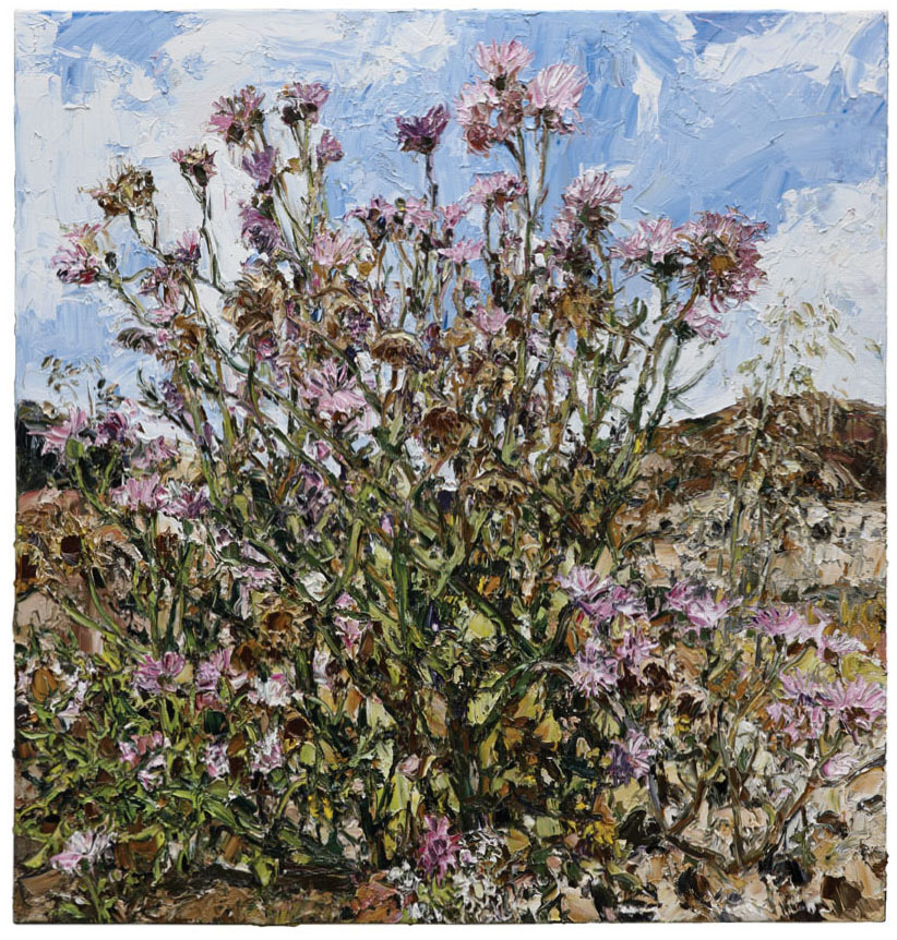 Artwork: Selinunte wildflowers