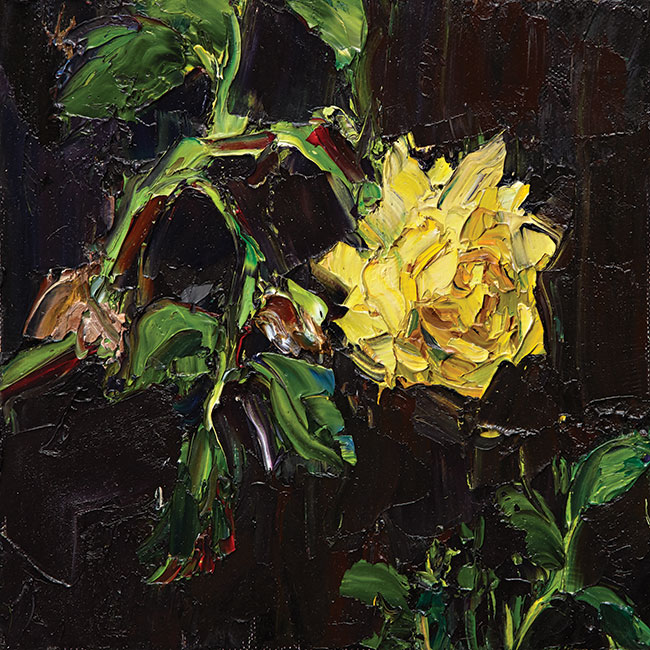 Artwork: Shadow Rose