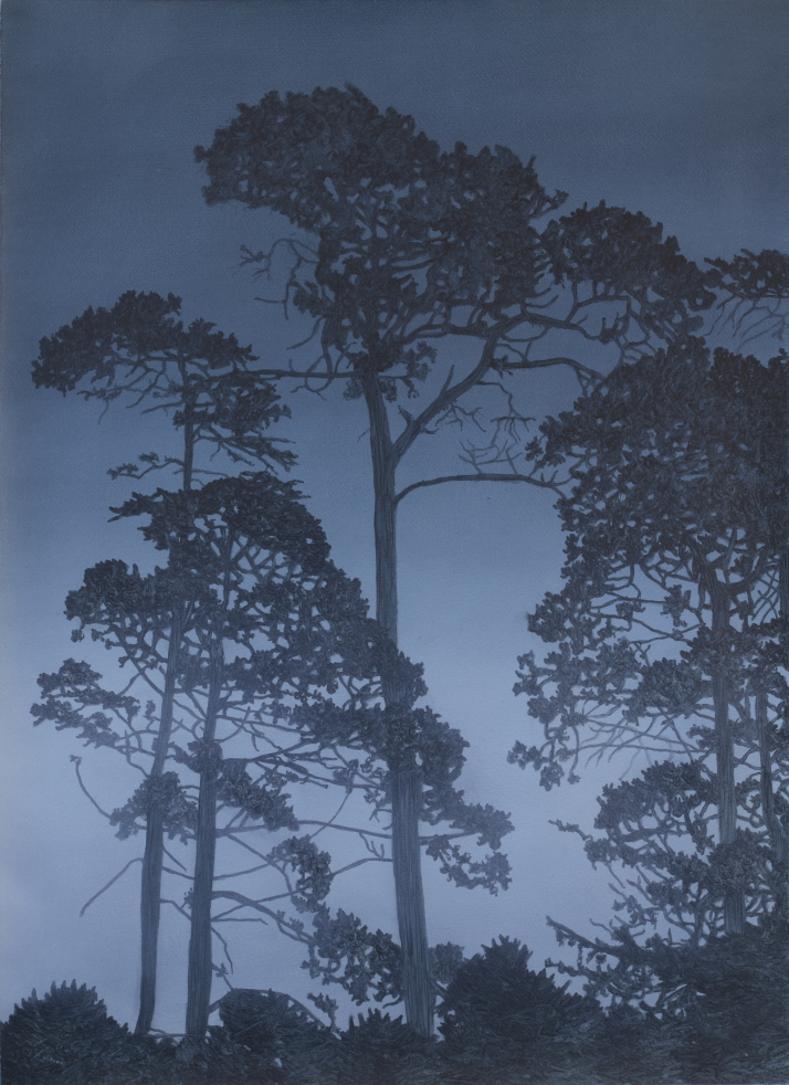 Artwork: Twilight Pines