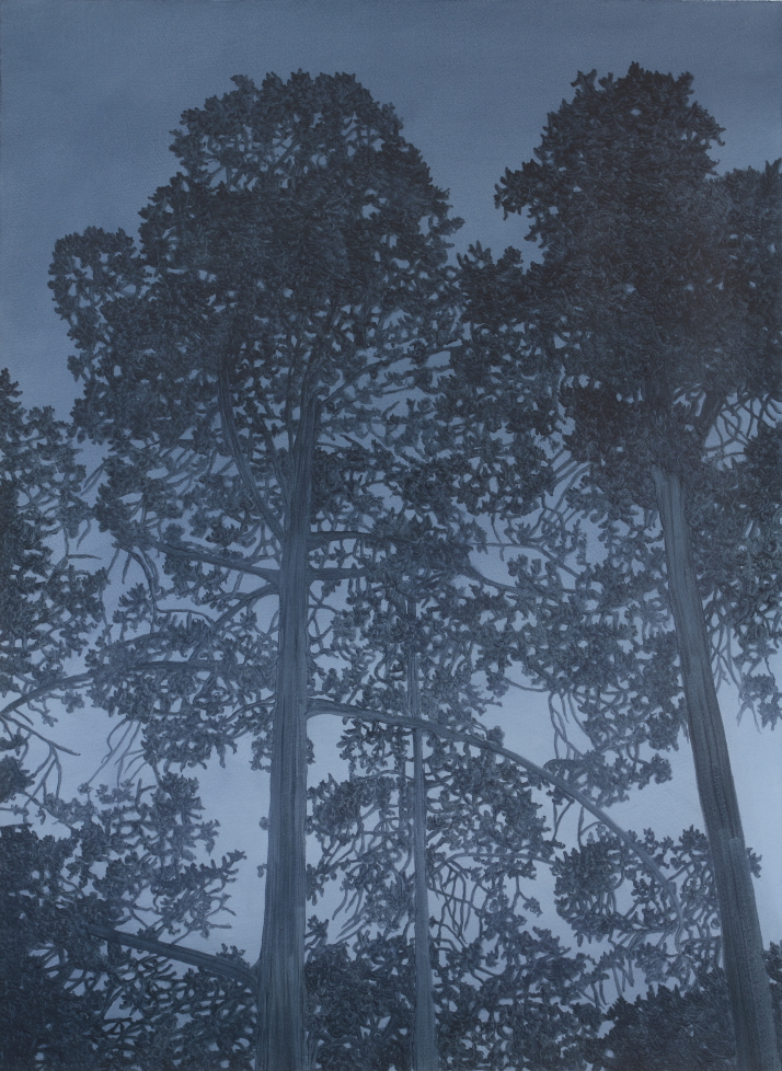 Artwork: Botanic Garden Pines