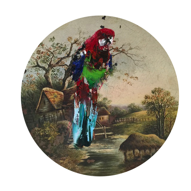 Artwork: Country Rosella