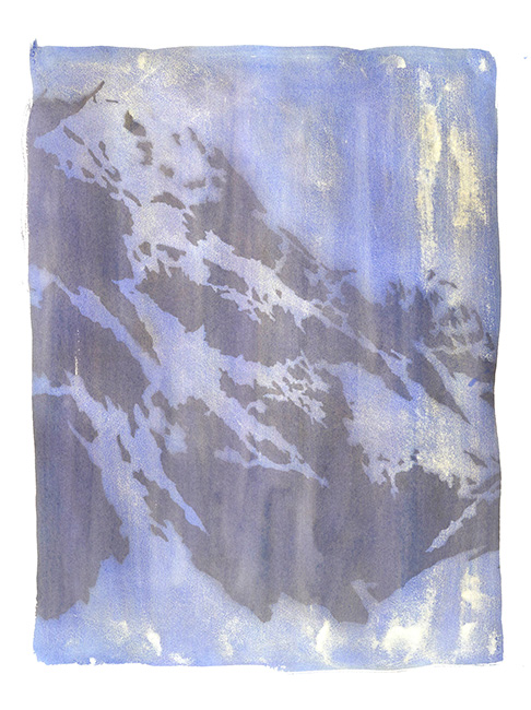 Artwork: One Hour of Solstice Sunlight as Seven Repeated Landscapes III