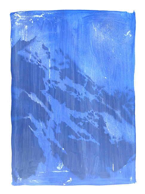 Artwork: One Hour of Solstice Sunlight as Seven Repeated Landscapes IV