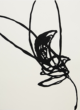 Artwork: Honey Eater