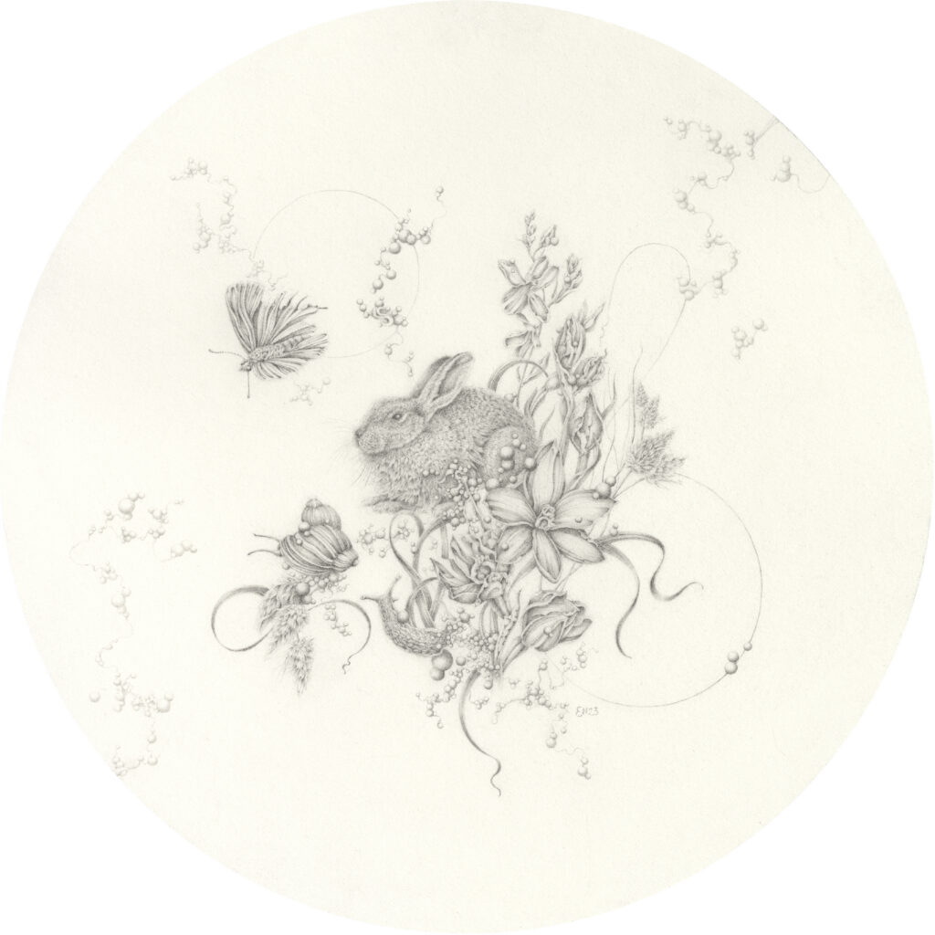Artwork: Large-spotted Sun Orchid and Rabbit