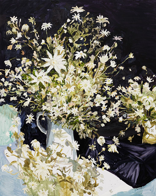 Artwork: Flannel flowers