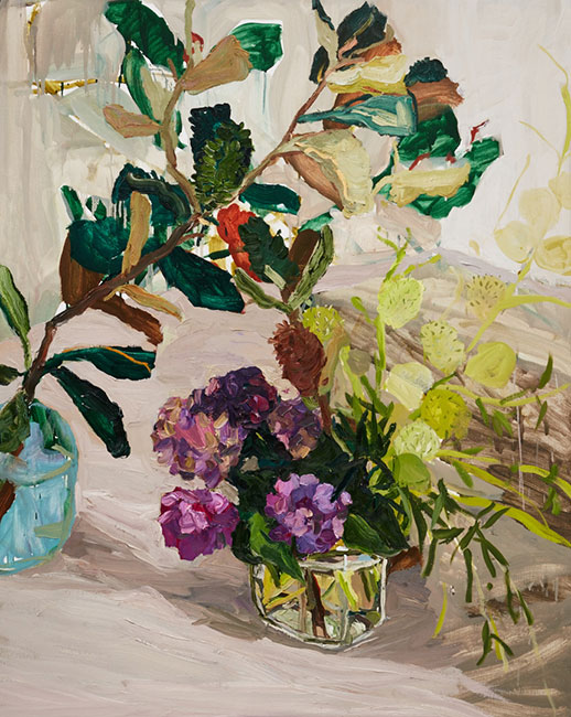 Artwork: Banksia hydrangea and balloon plant