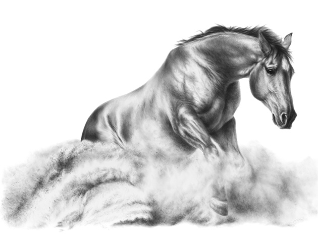 Artwork: Reining Stop