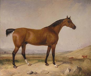 Artwork: Bay Hunter in landscape