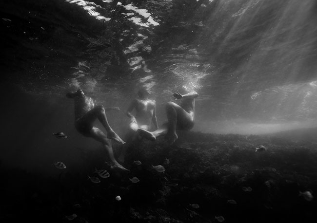 Artwork: Untitled 12