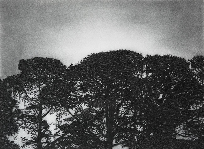 Artwork: Nocturnal Pines