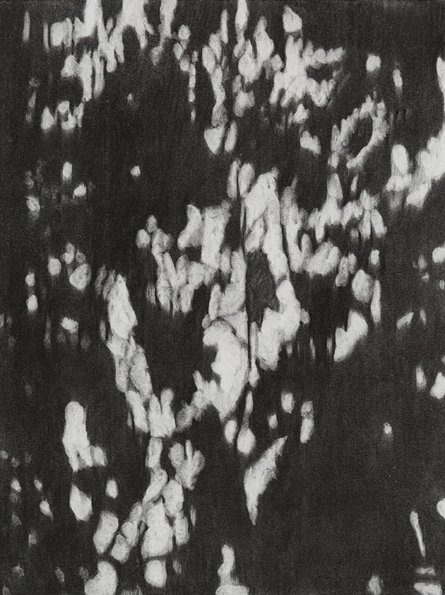 Artwork: Shadow Wall