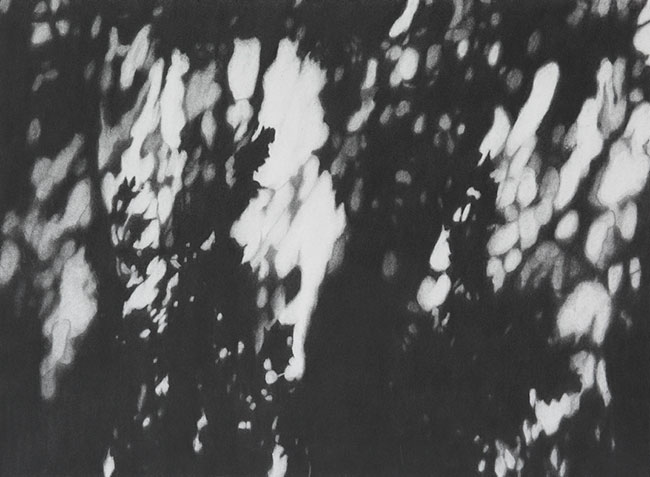 Artwork: Shadow Wall 3