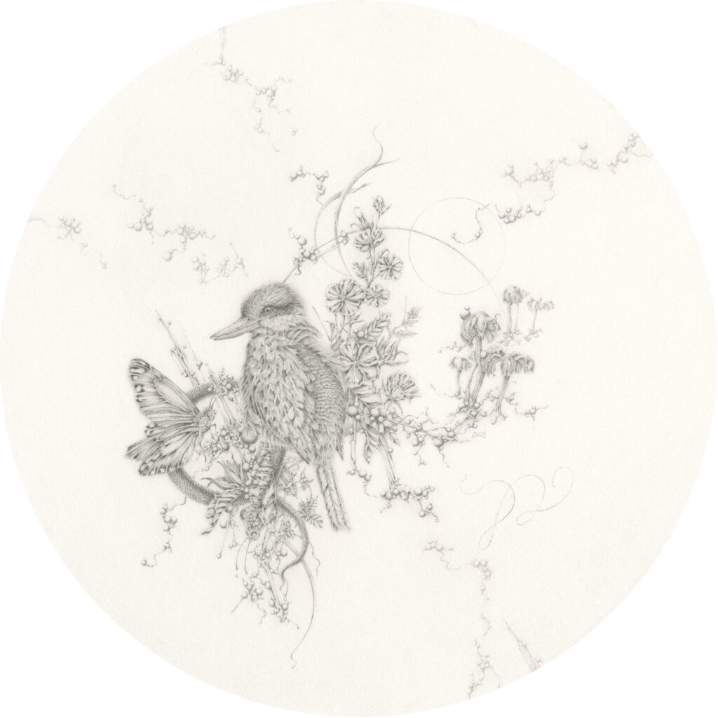 17_EN_Kingfisher