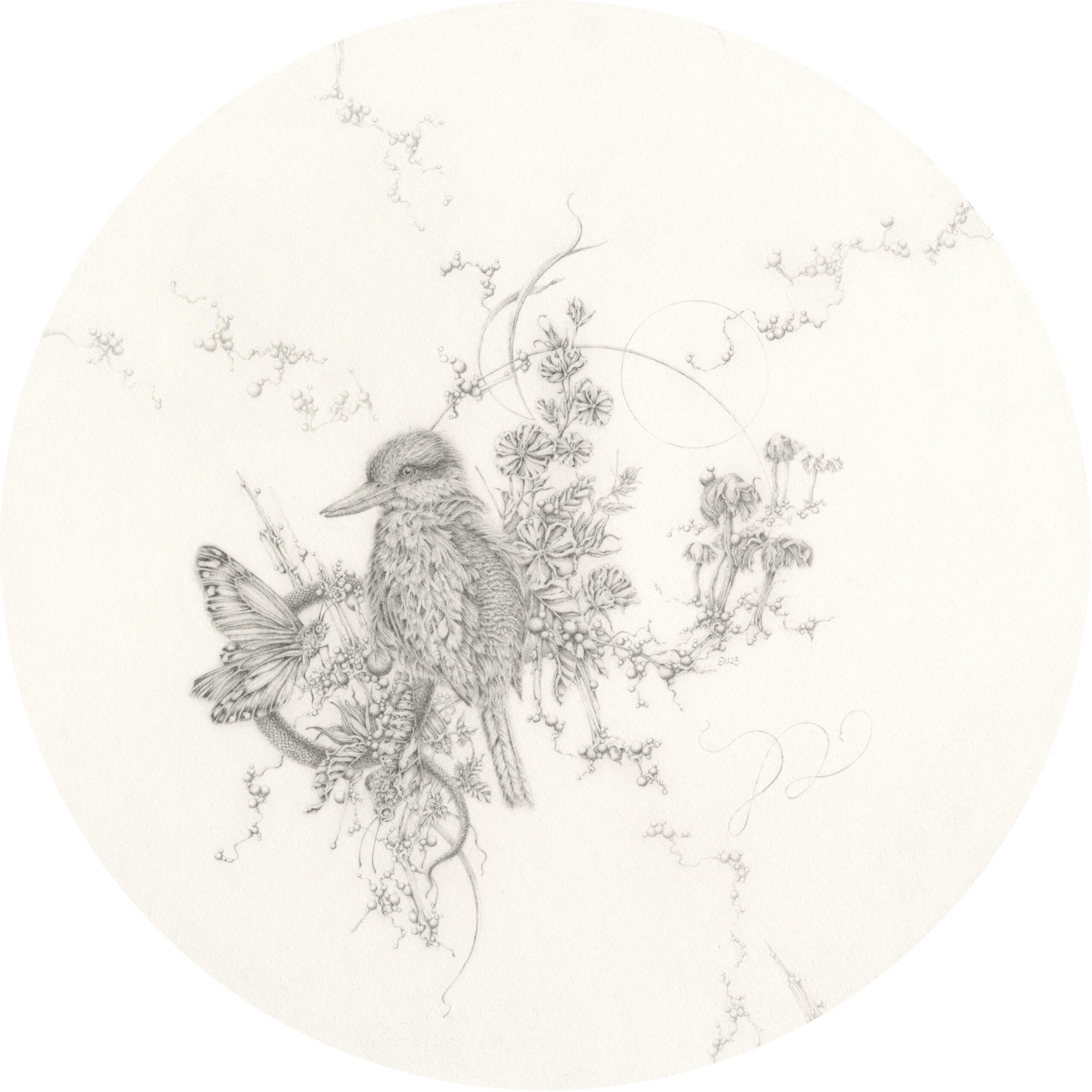 Artwork: Red-backed Kingfisher and Velvet Hibiscus