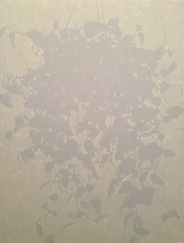 Artwork: Cupid Peperomia