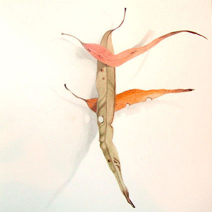 Artwork: Gum leaves VI