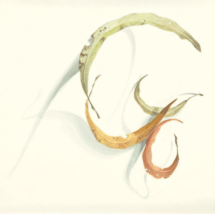 Artwork: Gum Leaves VI