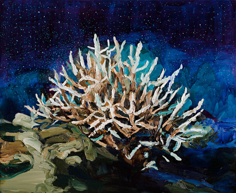 Artwork: Air water stars