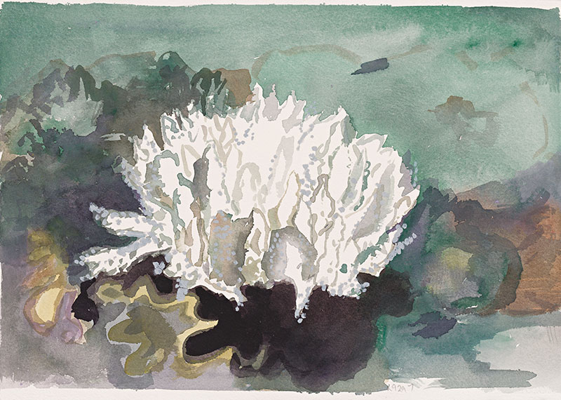 Artwork: L9297 Lizard Island