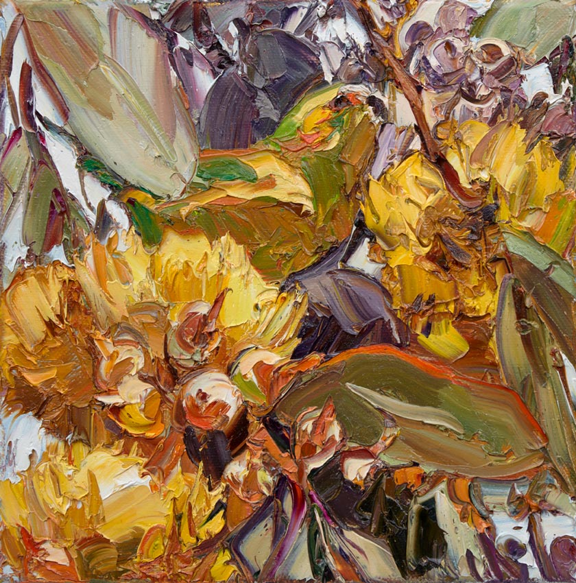 Artwork: Orroroo Parrot 1