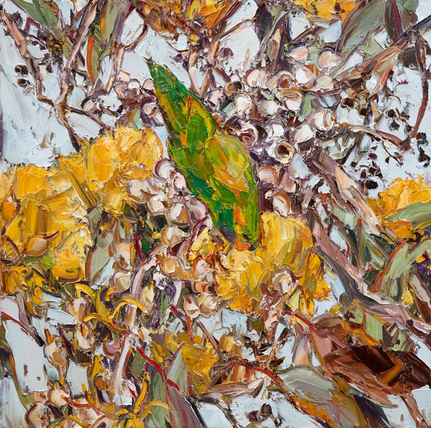 Artwork: Orroroo Blossom Feeding Parrot