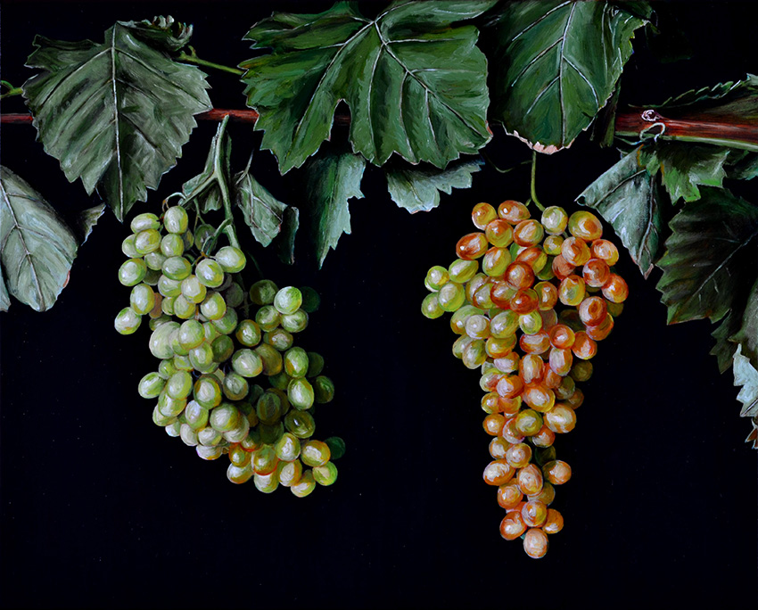 Artwork: Still Life with Grapes after El Labrador