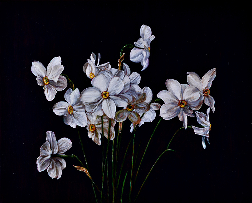 Artwork: Still Life with Narcissus I after Victoria Dubourg