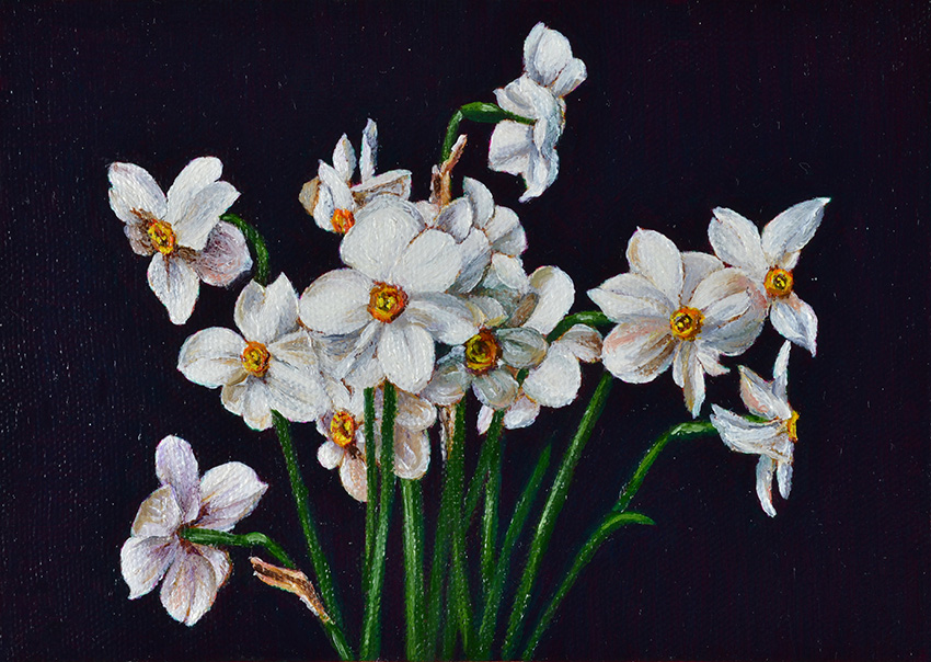 Artwork: Still Life with Narcissus I after Victoria Dubourg