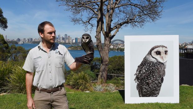Taronga Zoo bird display puts visitors ‘up close and personal’ with endangered species
