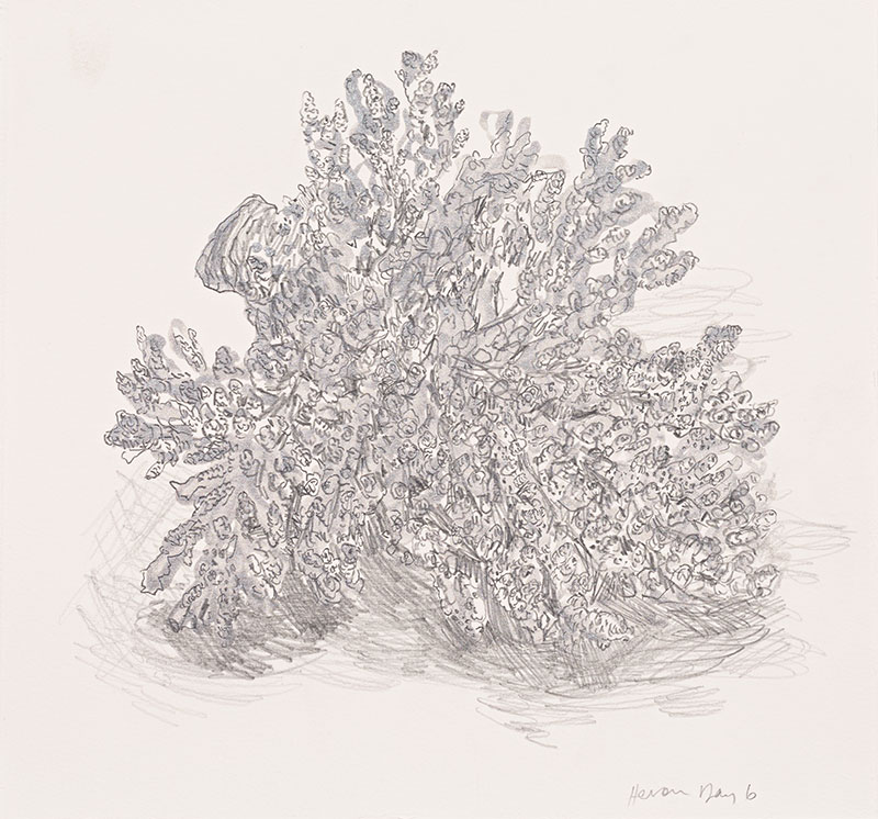 Artwork: Heron Day 6