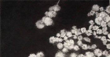 Jennifer Keeler-Milne 2005