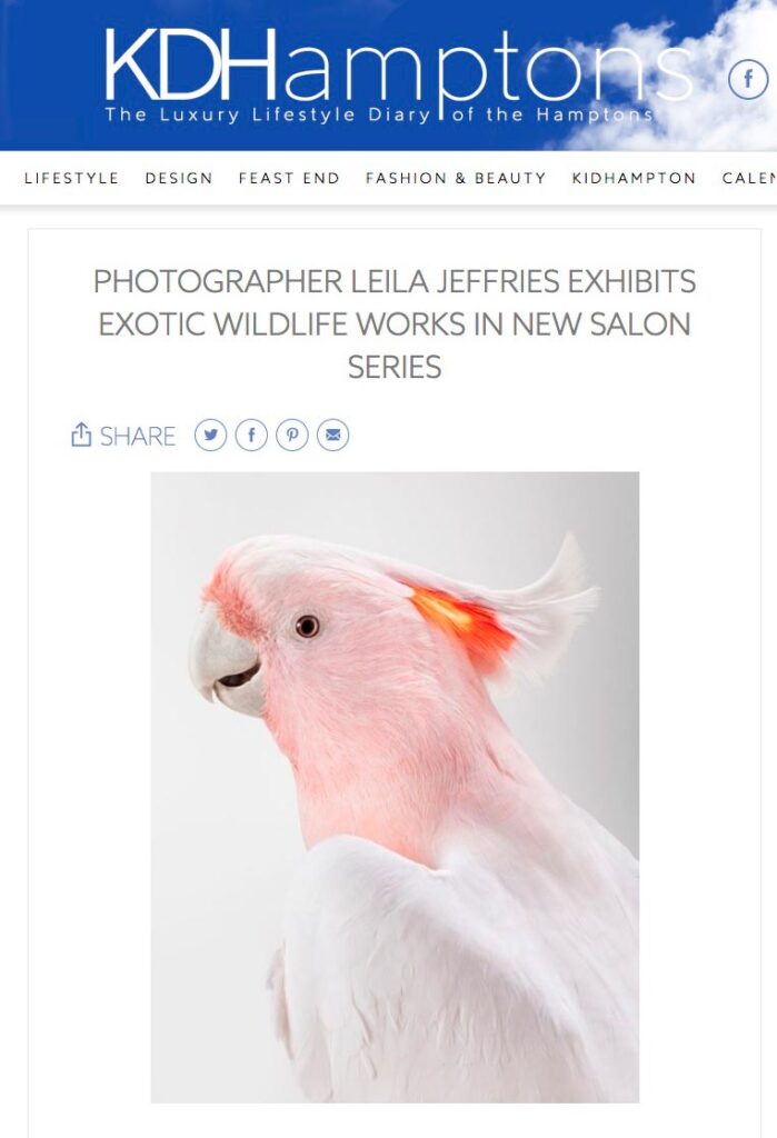 Photographer Leila Jeffries Exhibits Exotic Wildlife Works In New Salon Series