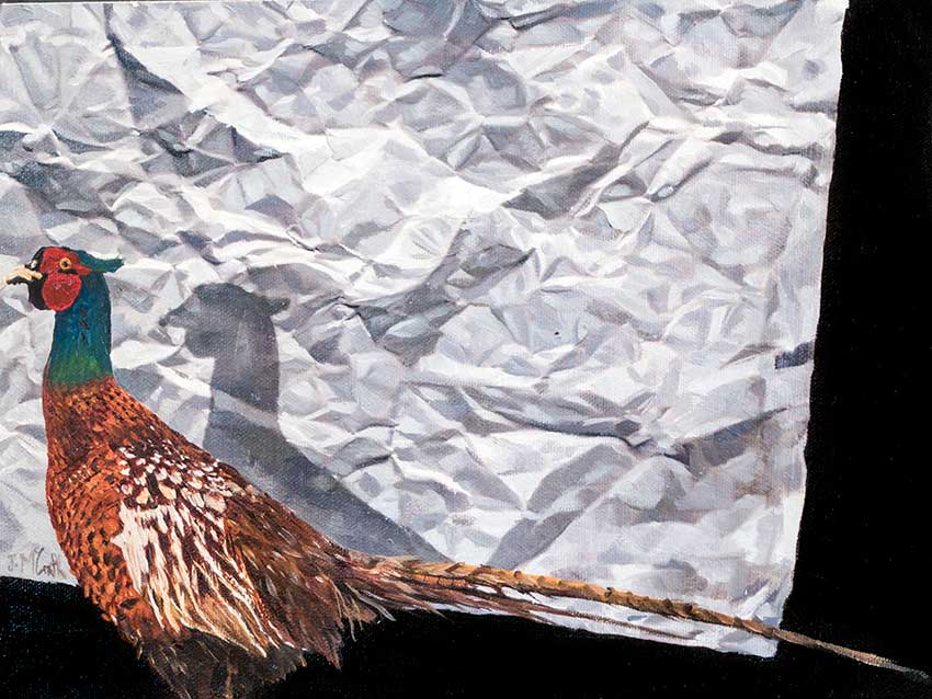 Artwork: Pheasants Shadow