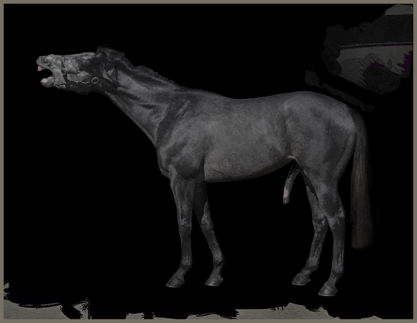 Worship Everything and More Will Appear