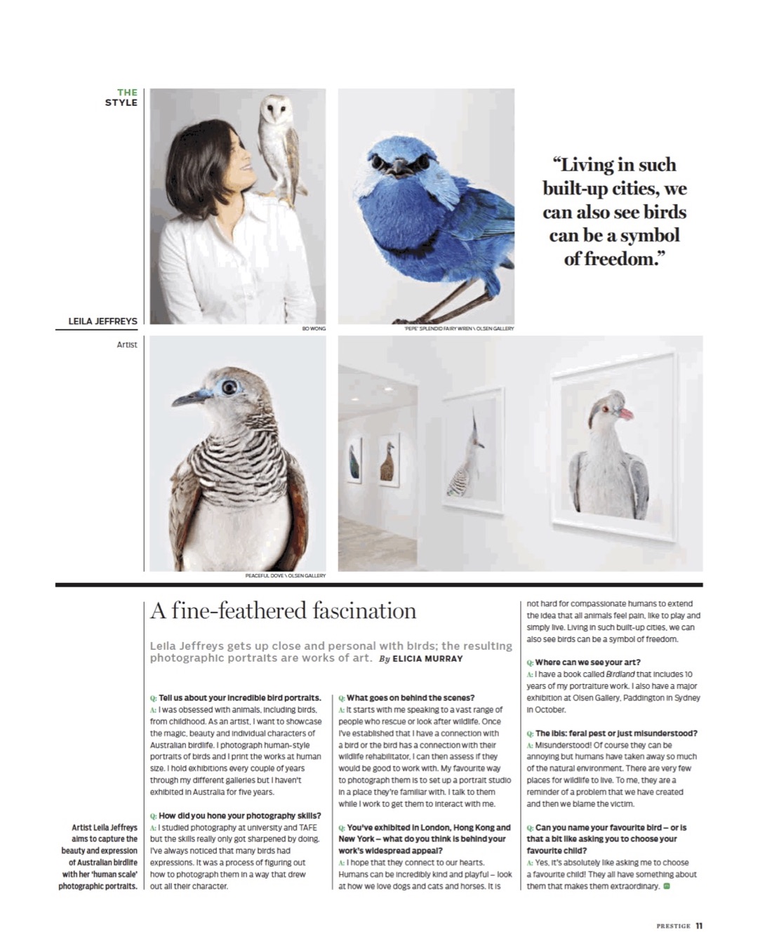 A Fine Feathered Fascination