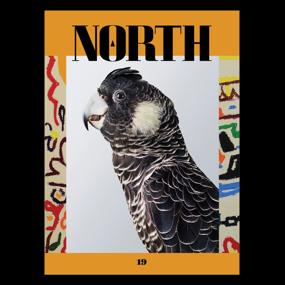 Artist Spotlight: Leila Jeffreys