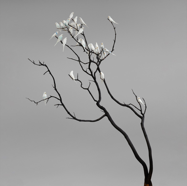 Artwork: Charcoal and Ash