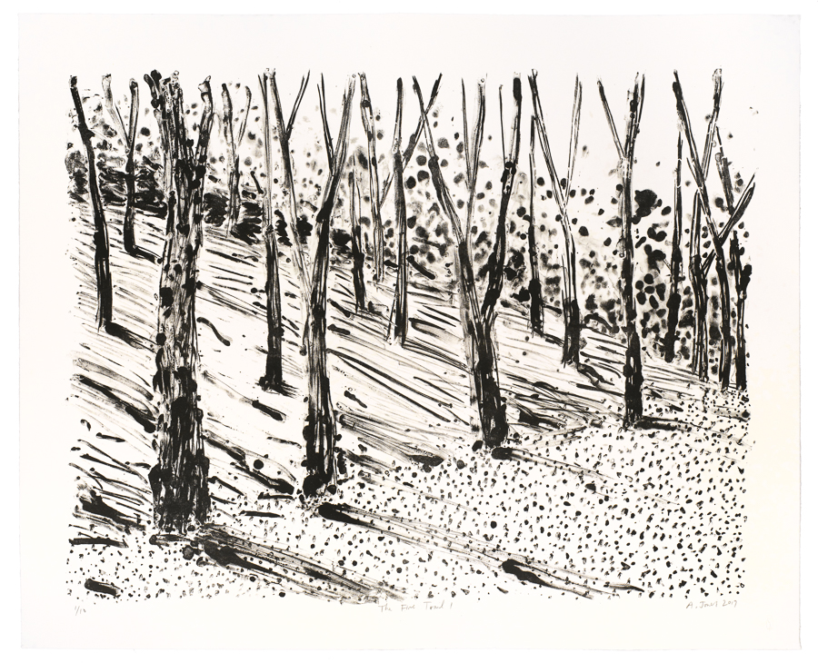 Artwork: The Fire Trail 1