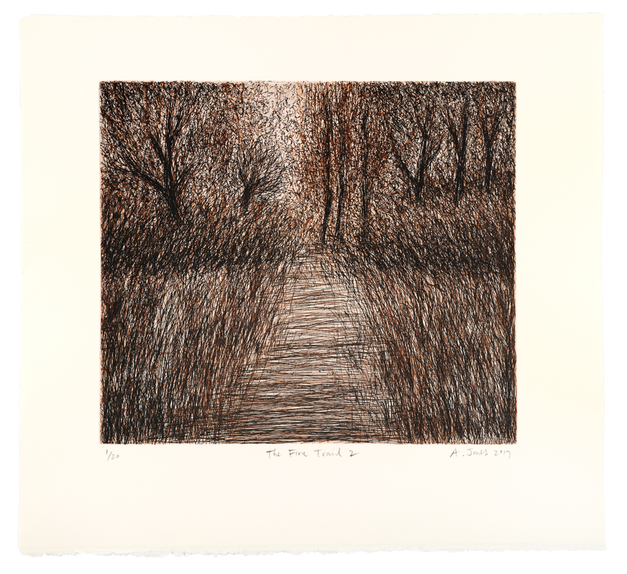 Artwork: The Fire Trail 2