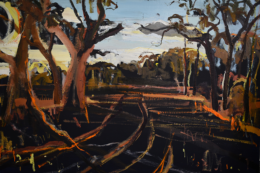 Artwork: Stephens Creek. Broken Hill.