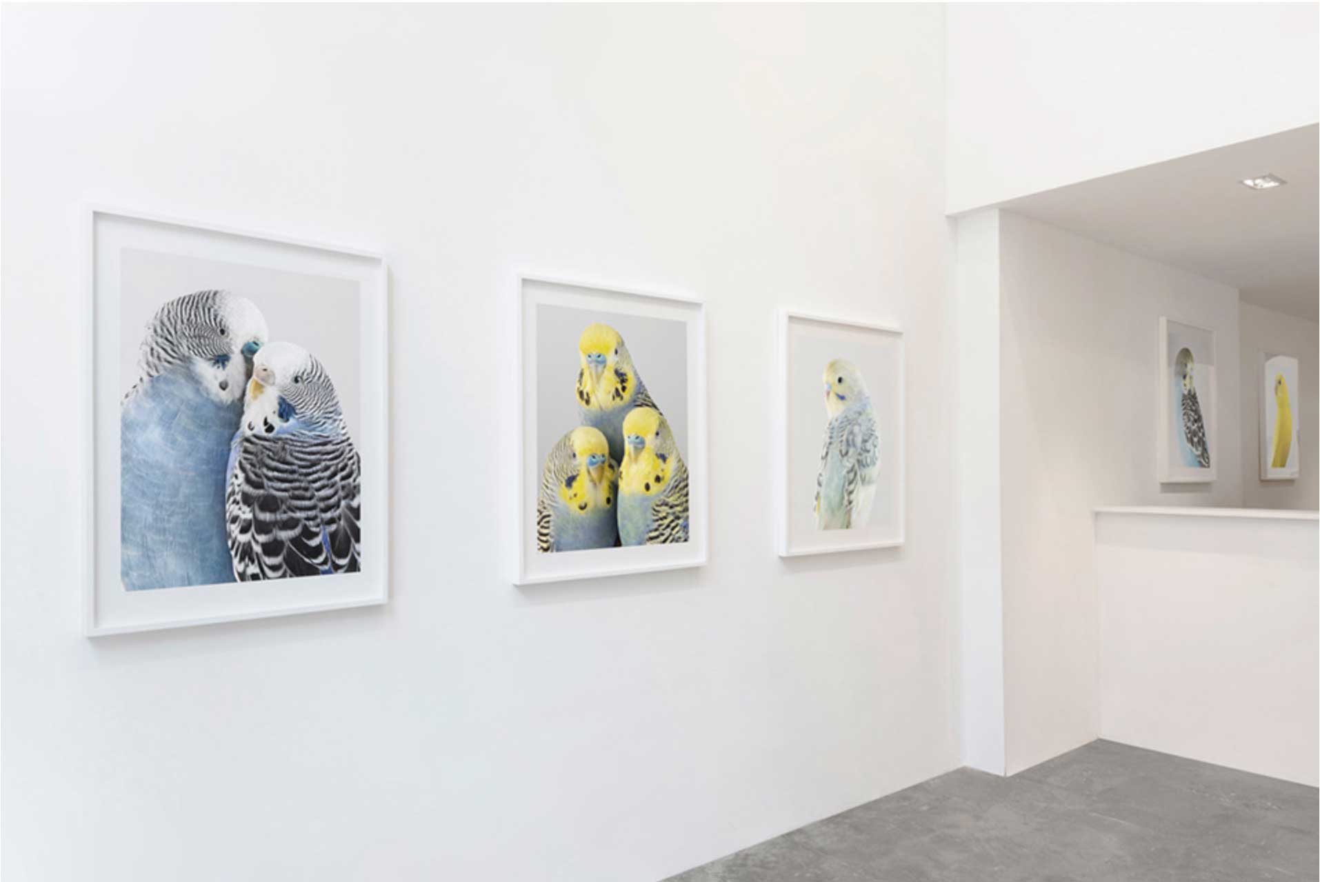 Exhibition of New Works by Australian Photographic Artist Leila Jeffreys Opens at Olsen Gruin