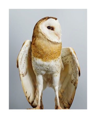 NATIONAL BIRD WEEK WITH LEILA JEFFREYS